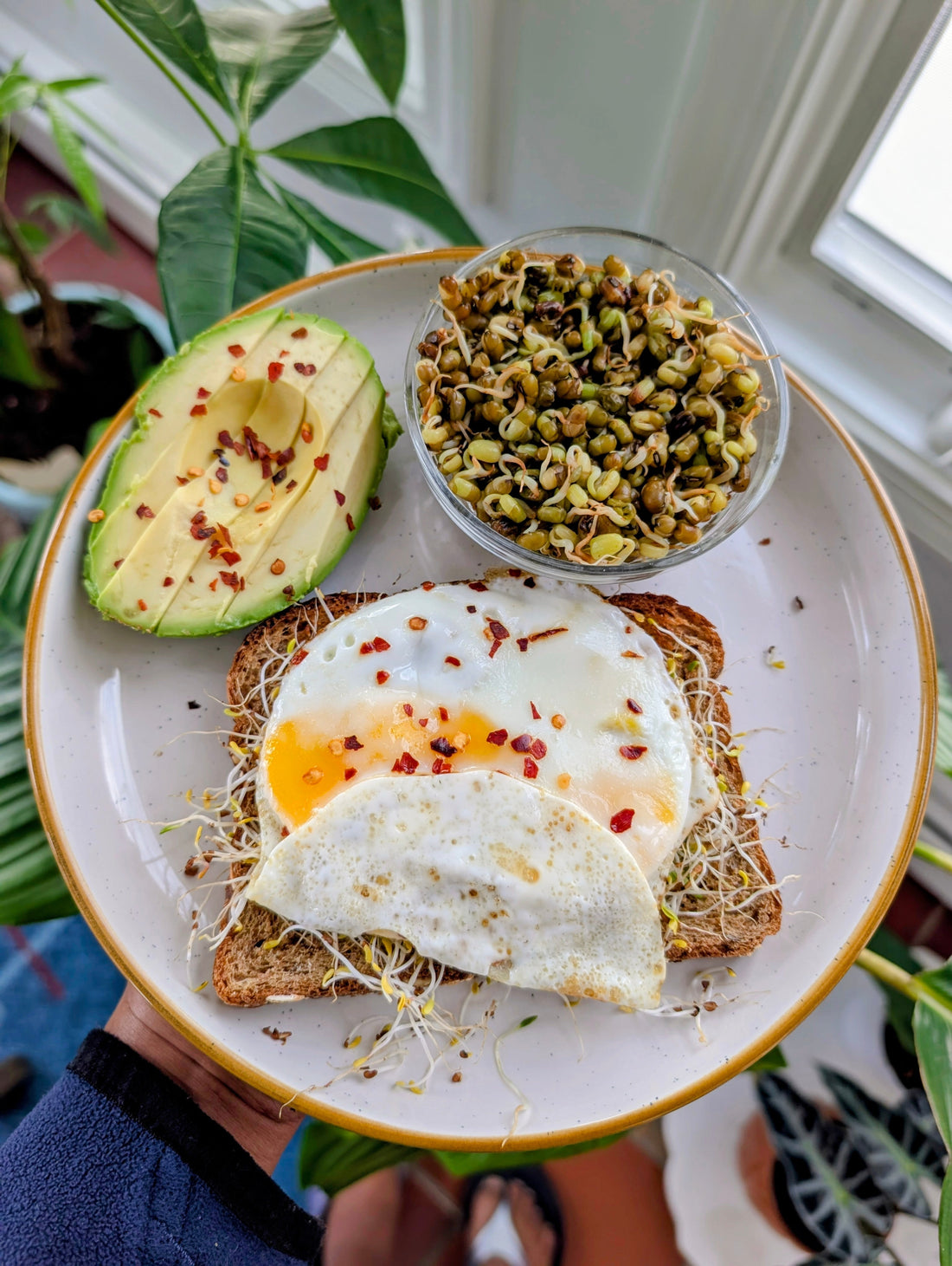 I Challenged Myself to Cook "Real Food" for 30 Days. Here’s What Week 1 Looked Like.